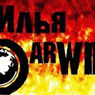 Илья DarWIN