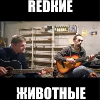 redкие животные