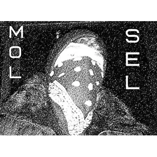 MolSEL
