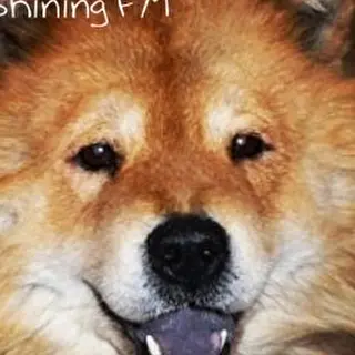 Shining FM