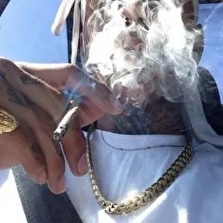 MOZZZGIN