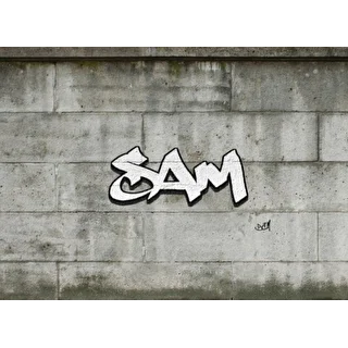 Sam