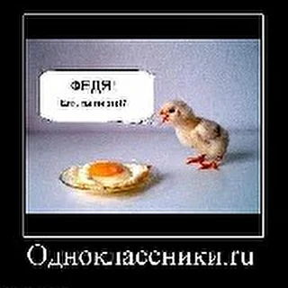 Рогожников Максим