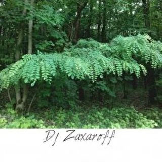 DJ ZAXAROFF