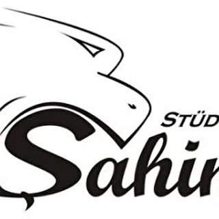 Shahin studio