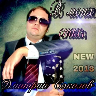 Дмитрий Соколов
