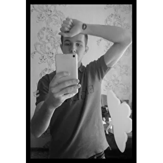 Dastin 19