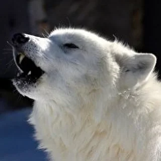 Евгений Бордачёв