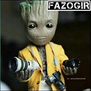 Fazogir