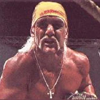 Hulk Hogan Holliwood