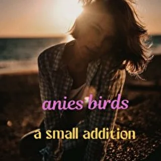 Anies birds 
