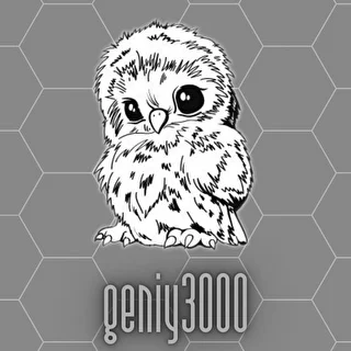 Geniy3000