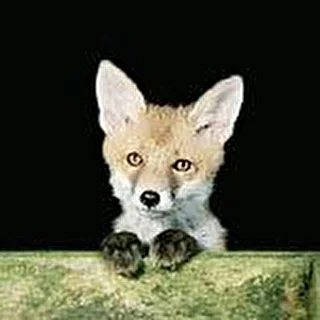 WingedFox