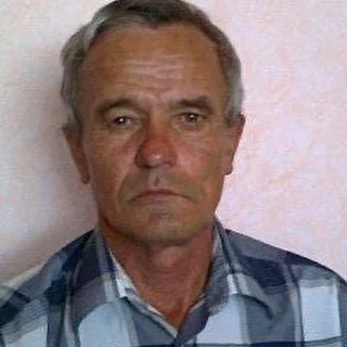 Владимир Шестопалов