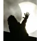 lunoir_stihi