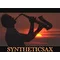 Автор стихов Syntheticsax