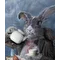 lis_diab
