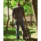 vadim_tsay