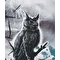 Mr.Owl