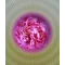 osv_real_t