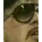 alexmarazm