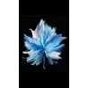 papiruss