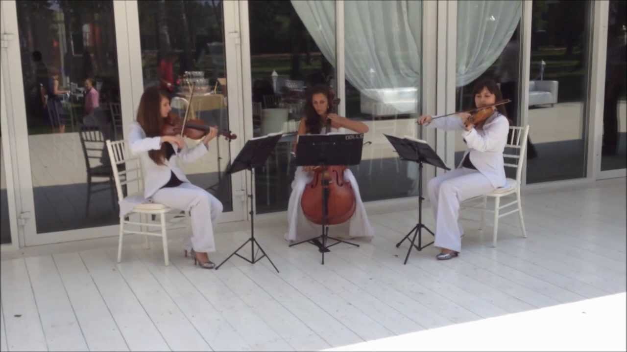 Трио клип. Трио Виолини. Квартет скрипки. Струнное трио lege Artis. Струнное трио скрипка Альт и виолончель.