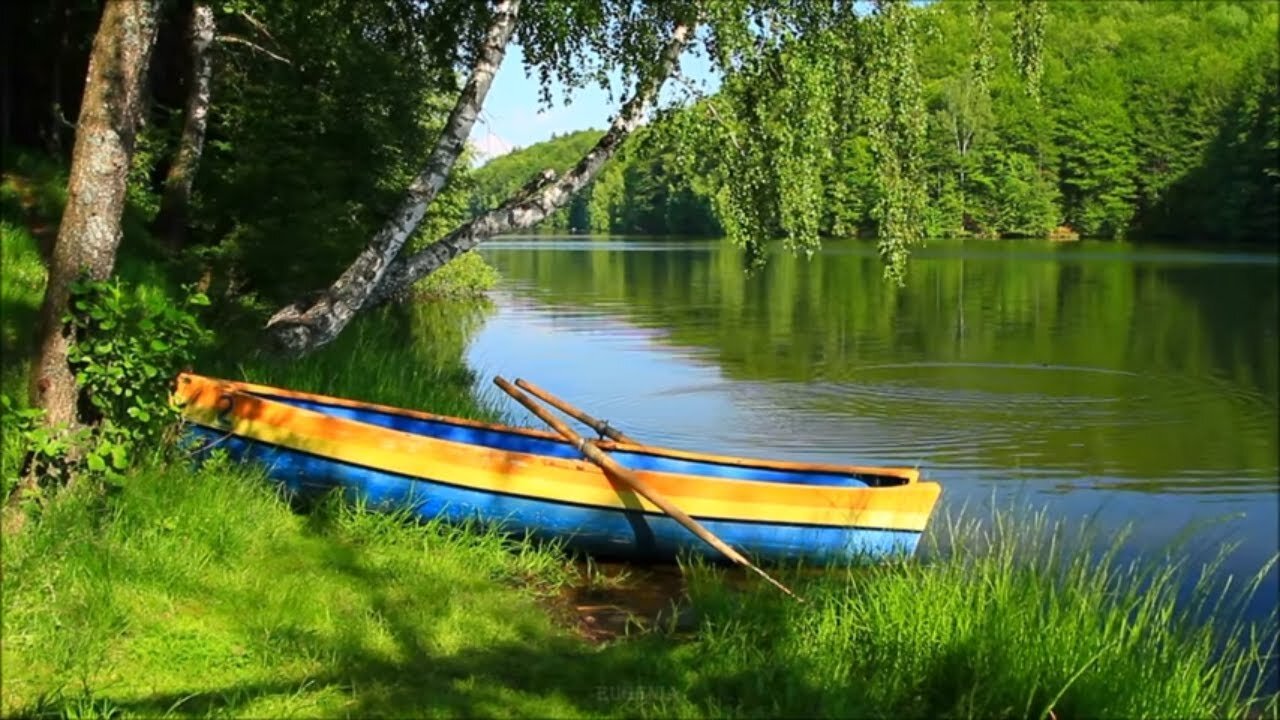 Row Boat. Релакс красивая природа видео