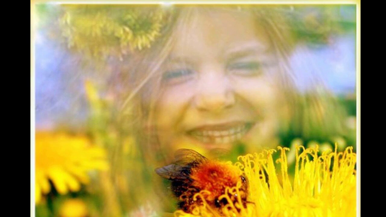 Улыбка и цветы песня. Солнышко радуется. Солнце с лучами и улыбкой. Солнечного дня улыбок и радости. Радость жизни.