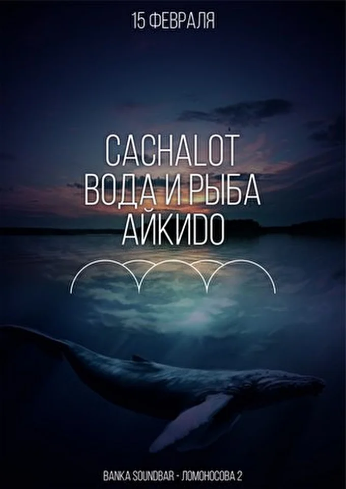 АЙКИDО 21 февраля 2015 Banka soundbar Санкт-Петербург