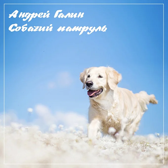 Андрей Галин, первый релиз песни 'Собачий патруль' 22 августа 2018 сайт RealMusic Ростов-на-Дону