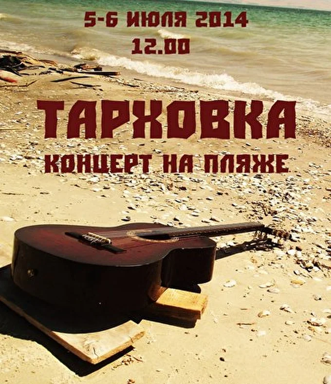 Плексо 01 июля 2014 пляж Финского залива пос.Тарховка