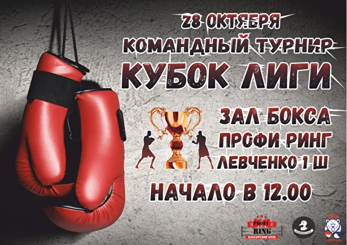 ТУРНИР ПО БОКСУ КУБОК ЛИГИ 01 октября 2017 Зал бокса Профи-РИНГ Пермь