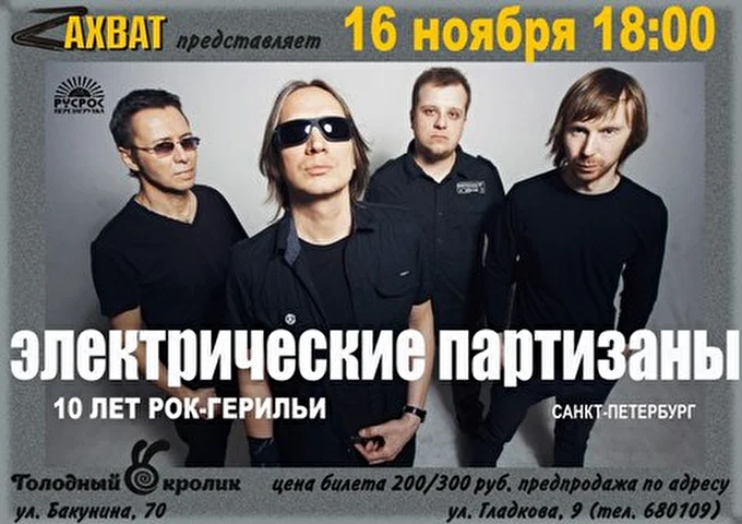 Электрические Партизаны 24 ноября 2013 клуб Hungry Rabbit Пенза