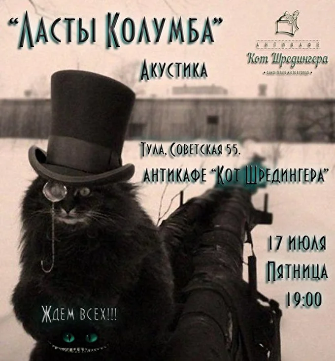 Ласты Колумба 01 июля 2015 антикафе  Кот Шредингера Тула