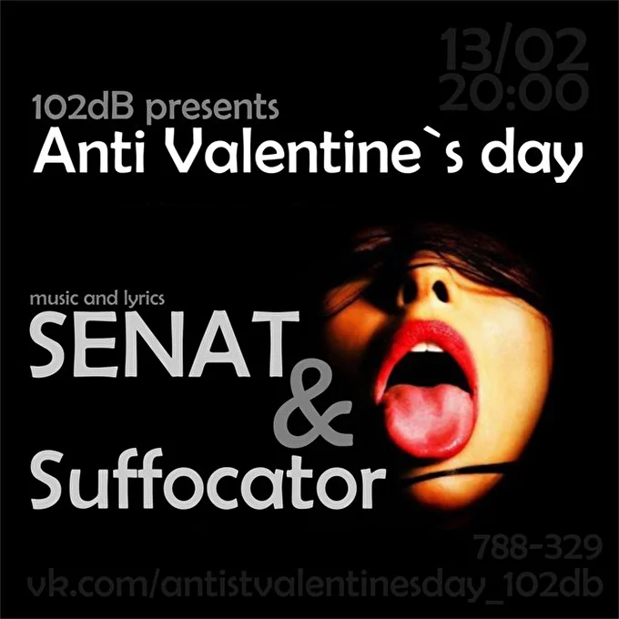 SENAT band 15 февраля 2016 Studio-club 102db Сургут